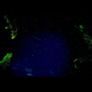 Meet your Posher, Marie